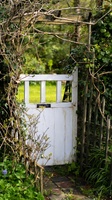 Palmerston-Cottages-049
